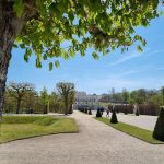 Schloss Belvedere