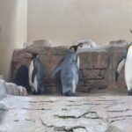 Zoobesuch 2023