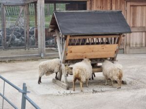 Blumengärten Hirschstetten - Ostern 2024